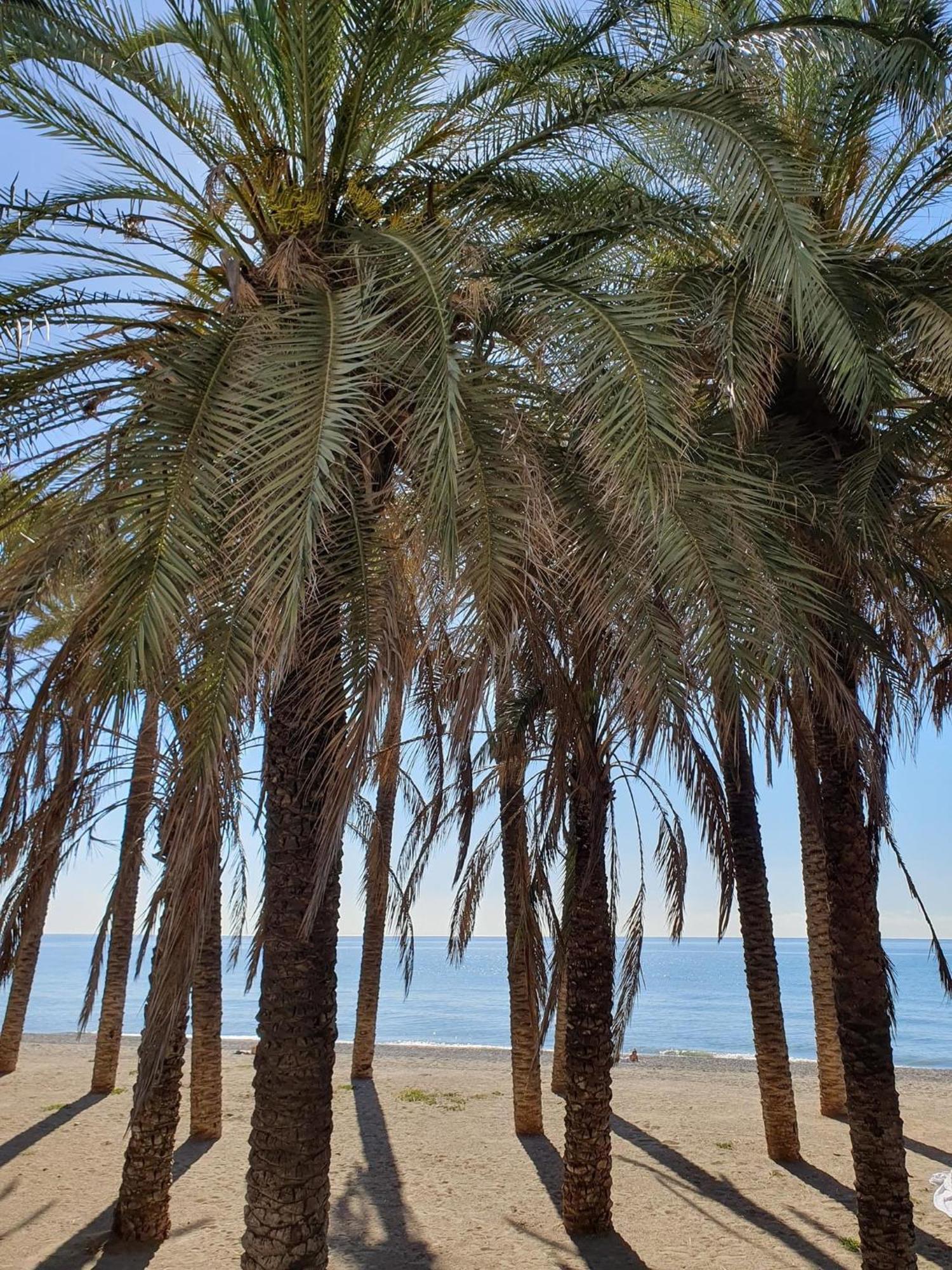 Apartment Bonito Estudio Carihuela Con Terraza, Wifi, Playa A 150 Metros Torremolinos